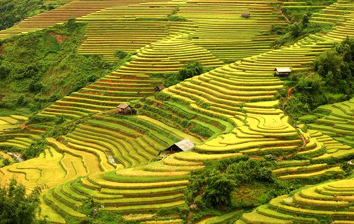 Driving in Vietnam