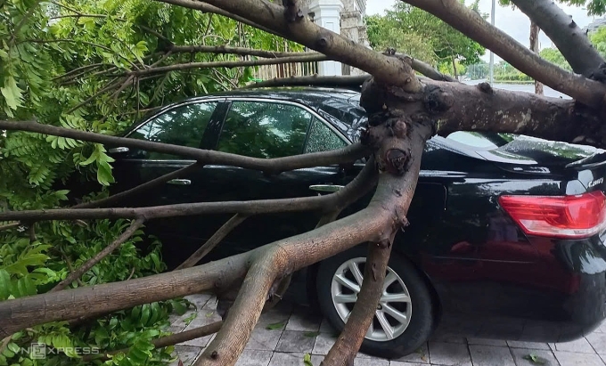 Xe của anh Dũng bị cây đè khi đang đỗ ở bãi do khách sạn chỉ định. Ảnh: Phan Việt Dũng
