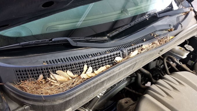 Lá rụng che khe lấy gió điều hòa trên xe. Ảnh: HomeTowne Auto Repair